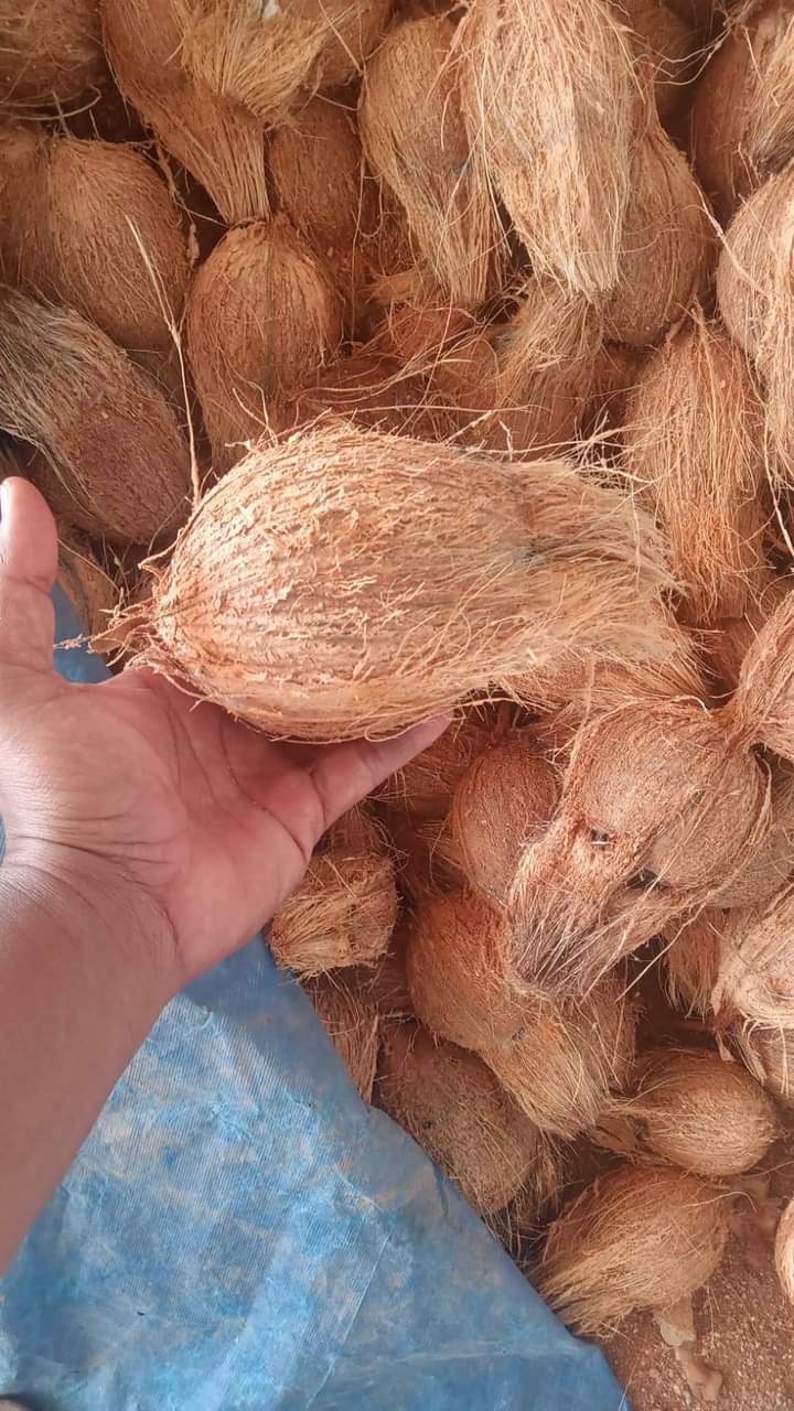 Jaggery Powder